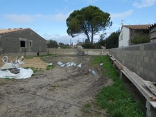 Terrain constructible à vendre  MAILLANE (13)