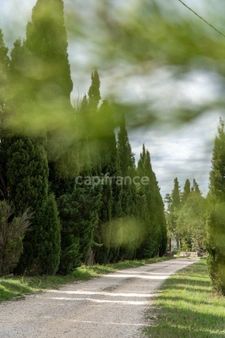 15-room stone property with swimming pool on 4.5 hectares (30)