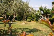 House for sale 11 rooms (13)