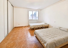 7-room house with swimming pool + 3-room apartment