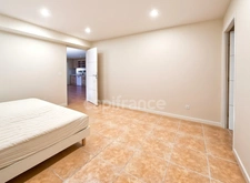 7-room house with swimming pool + 3-room apartment