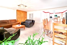7-room house with swimming pool + 3-room apartment