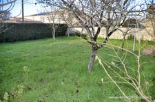 House for sale in SURGERES (17) - 160 m² living space - 712 m² plot