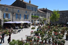 Fonds de commerce à vendre LA ROMIEU (32) Bar-restaurant-Chambre d'hôtes avec logement de fonction