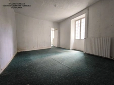 For sale House with outbuildings and land Graçay (18310)