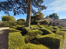 Maison à vendre 9 pièces BRION (86)