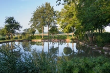 Maison à vendre 9 pièces BRION (86)
