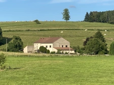 Dpt Vosges (88), à vendre ESCLES propriété T13 de 390 m² environ terrain 12 hectares. Eau de source.  