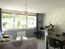 REMIREMONT (88) à vendre appartement T2 de 46,50m² en carrez .