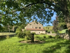 Dpt Vosges (88), à vendre ESCLES propriété T13 de 390 m² environ terrain 12 hectares. Eau de source.  