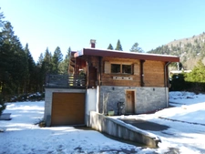 LA BRESSE (88) magnifique chalet Finlandais à vendre T7 de 160m² terrain 1480m².