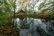 JARMENIL (88) chalet à vendre 3 pièces de 75m² ,terrain 4790m² , avec une mare de 50m² environ.