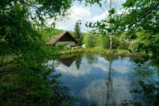 JARMENIL (88) chalet à vendre 3 pièces de 75m² ,terrain 4790m² , avec une mare de 50m² environ.