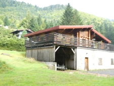 LA BRESSE (88) magnifique chalet Finlandais à vendre T7 de 160m² terrain 1480m².
