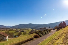   RUPT SUR MOSELLE (88) For sale: 10-room property of 195m² on basement + 4 horse boxes + apiary, land 3.6 hectares.