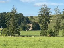Dpt Vosges (88), à vendre ESCLES propriété T13 de 390 m² environ terrain 12 hectares. Eau de source.  