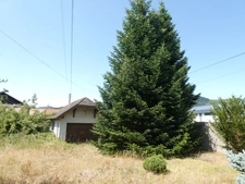 LE THILLOT (88)Maison bourgeoise de caractère à rénover de 280 m²sur trois niveaux, terrain 1000 m²+ garage.