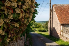 Exclusivité, à vendre – Maison de charme en hameau paisible – Ozolles (71)