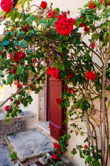 Exclusivité, à vendre – Maison de charme en hameau paisible – Ozolles (71)