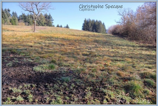 Terrain 4945 m² avec sources à CHABRELOCHE (63)