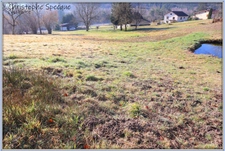 Dpt Puy de Dôme (63), à vendre CHABRELOCHE terrain de 2355 m².