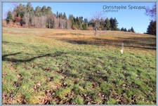 Dpt Puy de Dôme (63), à vendre CHABRELOCHE terrain de 2586 m²