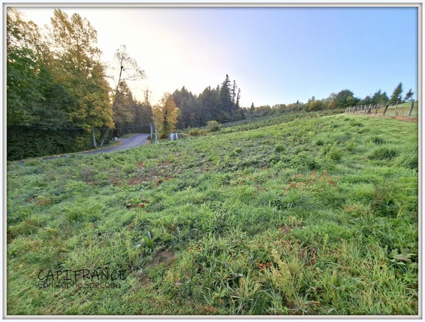 Terrain à vendre  CELLES SUR DUROLLE (63)