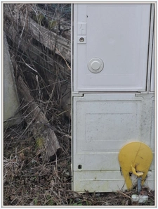 Terrain à vendre  CELLES SUR DUROLLE (63)