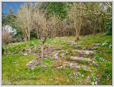 Maison à vendre en pierre de 143 m² habitable , grange, terrain CELLES SUR DUROLLE (63)