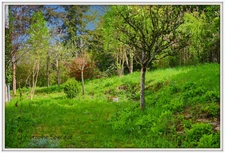 Maison à vendre en pierre de 143 m² habitable , grange, terrain CELLES SUR DUROLLE (63)