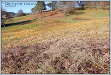 Terrain 4945 m² avec sources à CHABRELOCHE (63)