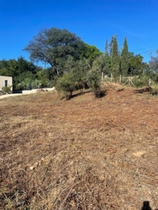 À vendre Terrain de 1 220m², Folelli, Penta di Casinca, Haute-Corse (20)