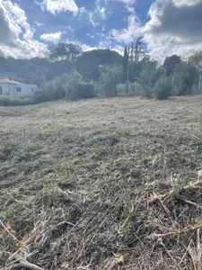 À vendre Terrain de 1 220m², Folelli, Penta di Casinca, Haute-Corse (20)
