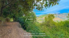 À vendre Terrain 750m², Canaja, Campile, Haute-Corse (20)