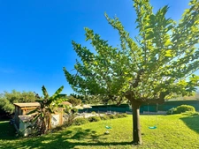 À vendre Villa 4 pièces 100m², Terrain 2000m², Vue mer, Folelli, Penta di Casinca, Haute-Corse (20)