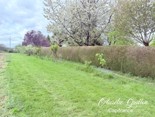 Terrain à bâtir 1525 m² – Libre constructeur – Hors lotissement – Montertelot