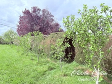Terrain à bâtir 1525 m² – Libre constructeur – Hors lotissement – Montertelot