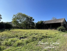 TERRAIN 1254 M2 AVEC HANGAR