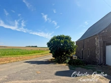 Longère en pierre rénovée 165 m² en campagne – Néant-sur-Yvel, proche Guilliers et Ploërmel