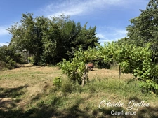 Maison familiale 129 m² – 4 chambres – Garage – Terrain arboré de 4 168 m² – Mauron