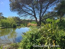 Prestigious property of approximately 480 m² situated on a 3.4-hectare plot with 2 gîtes and a bed and breakfast