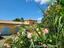 Prestigious property of approximately 480 m² situated on a 3.4-hectare plot with 2 gîtes and a bed and breakfast