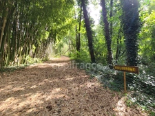 Prestigious property of approximately 480 m² situated on a 3.4-hectare plot with 2 gîtes and a bed and breakfast