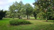 Maison familiale de charme de 160 m² sur Sous-sol complet et jardin 8000m2 