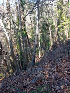 Terrain à vendre de 6 393,00 m² SAINT ETIENNE VALLEE FRANCAISE (48)
