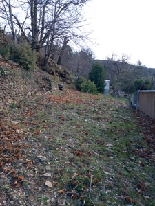 Terrain à vendre de 6 393,00 m² SAINT ETIENNE VALLEE FRANCAISE (48)