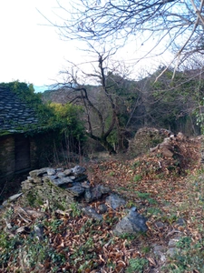 Terrain à vendre de 6 393,00 m² SAINT ETIENNE VALLEE FRANCAISE (48)