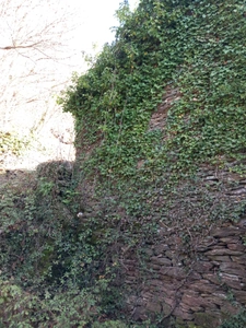 Terrain à vendre de 6 393,00 m² SAINT ETIENNE VALLEE FRANCAISE (48)