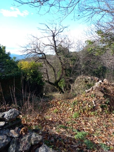 Terrain à vendre de 6 393,00 m² SAINT ETIENNE VALLEE FRANCAISE (48)