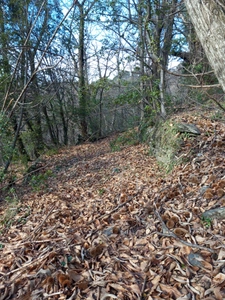 Terrain à vendre de 6 393,00 m² SAINT ETIENNE VALLEE FRANCAISE (48)